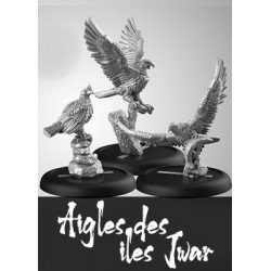Aigles des Iles Jwar (FR)