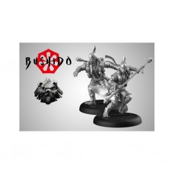Ashigaru Indignes (FR)