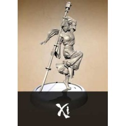 XI (FR)