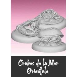 Crabes de la Mer Orientale...