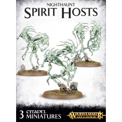 AOS - Nighthaunt Spirit Hosts