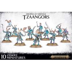 AOS - Tzaangors