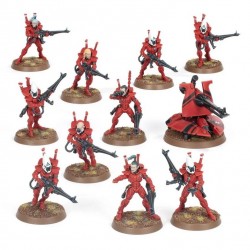 WH40K - Aeldari Guardians