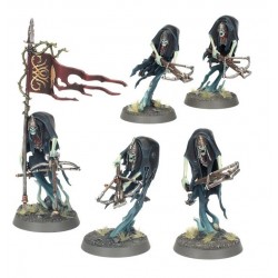 AOS - Garde du Trône Veule