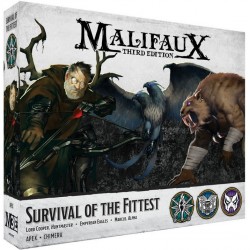 Survival of the Fittest (EN)