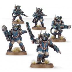 WH40K - Militarum Tempestus...