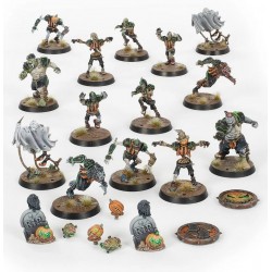 Équipe de Blood Bowl...