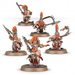 AOS - Hearthguard Berzerkers