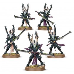 WH40K - Drukhari Incubi