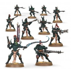 WH40K - Drukhari Kabalite...