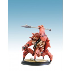Briskars - Birgus