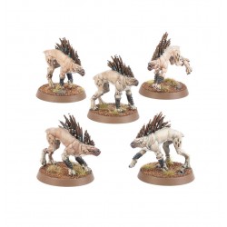 WH40K - Kroot Hounds