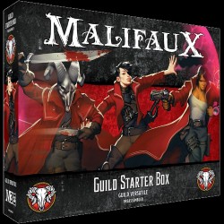 Guild Starter Box