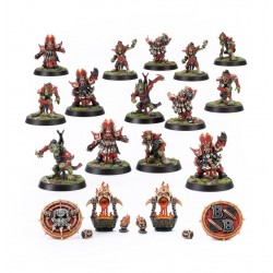 Chaos Dwarf Blood Bowl Team...