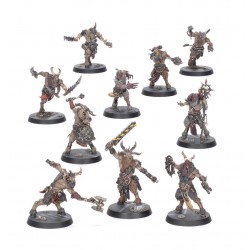 Kill Team : Fellgor Ravagers